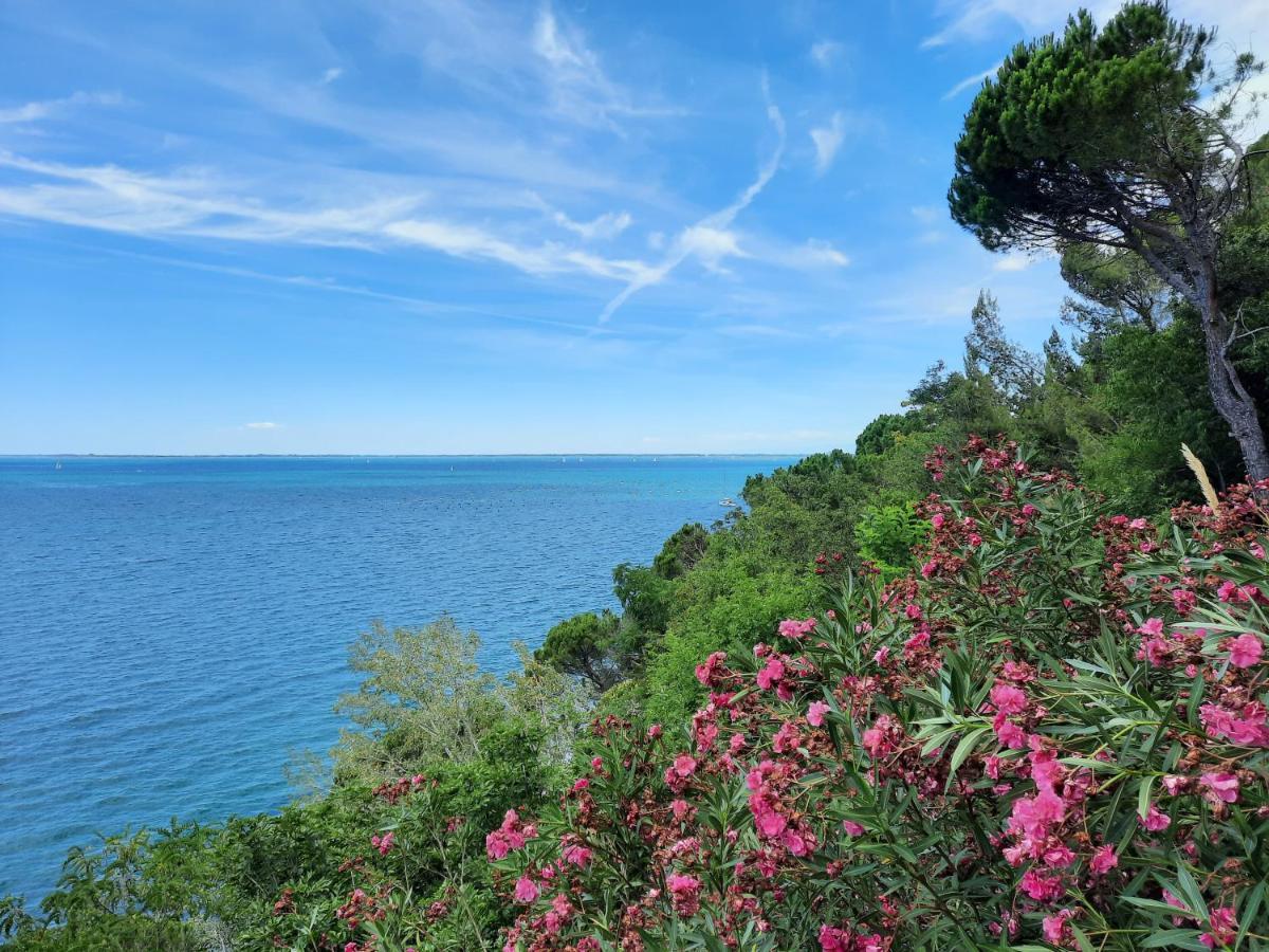 Agriturismo Ai Tre Sentieri Ауризина Экстерьер фото